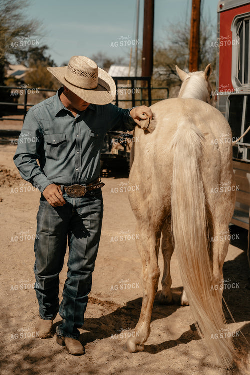 Rancher Brushing Horse 58231