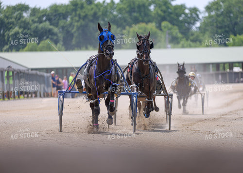 Horse Racing 160254