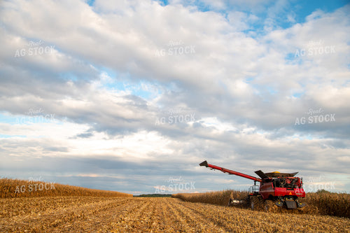 Combine Harvesting Corn 25566