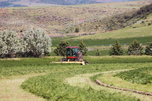 Cutting Hay 83003