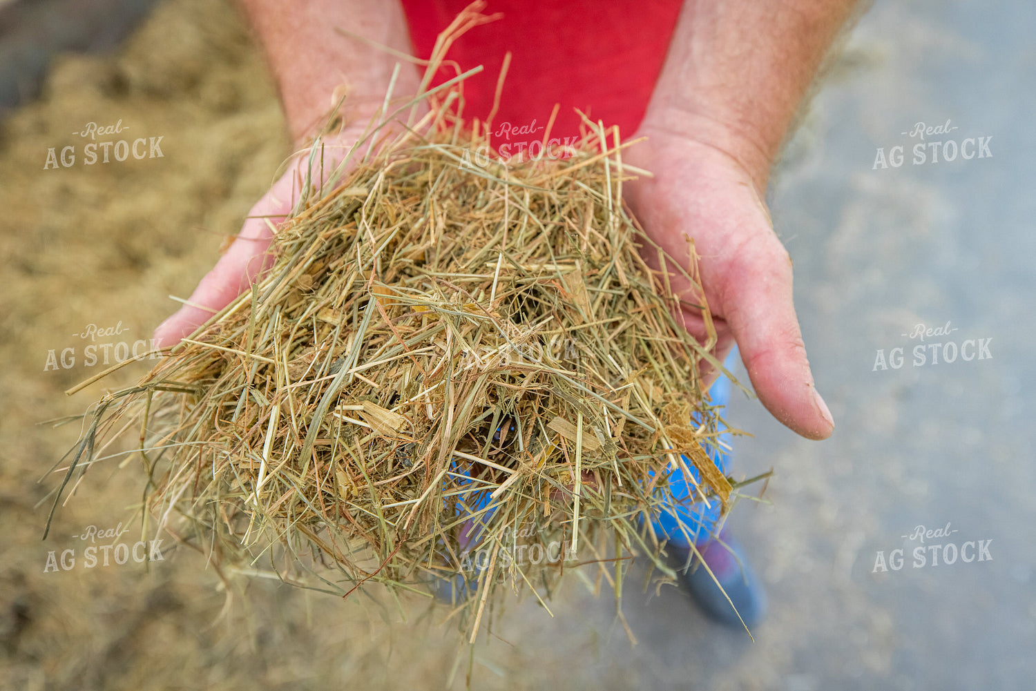 Farmer Holding TMR 270379