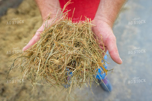 Farmer Holding TMR 270379