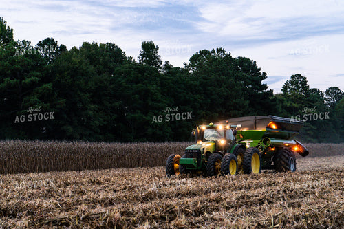 Corn Harvest 128046