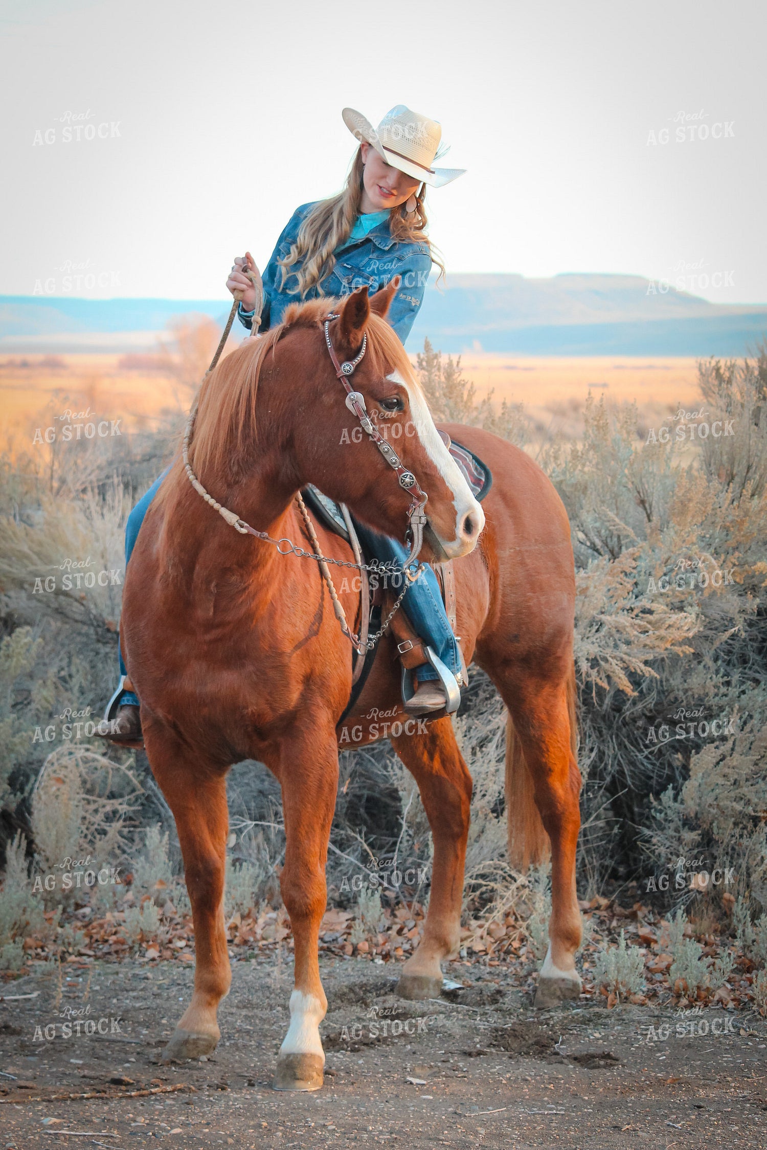 Female Rancher on Horse 78017