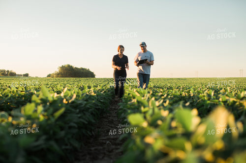 Agronomist and Farmer Scouting Soybean Field 6119