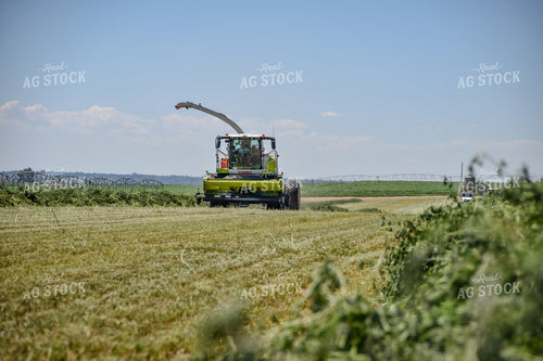 Forage Harvester Chopping Hay 56488