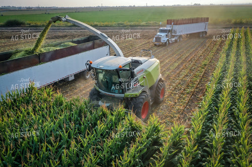 Silage Harvest Drone 56207