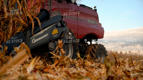 Corn Cobs and Chaff from Combine End 25655
