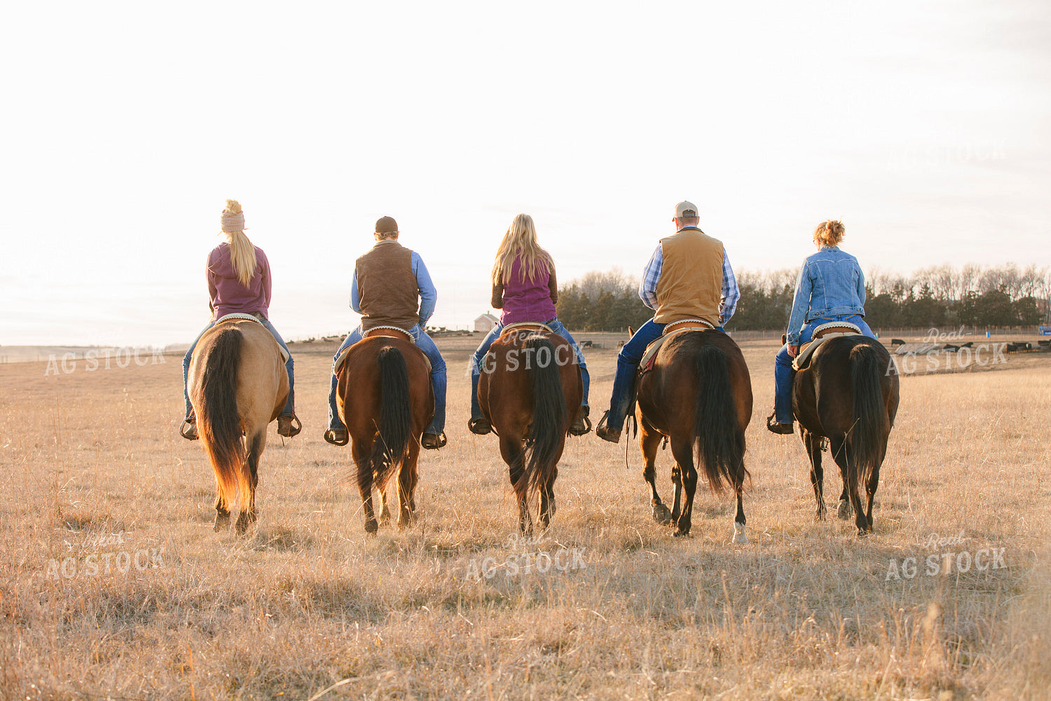 Ranchers on Horseback 285015