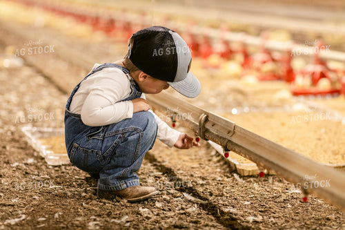 Farm Kid in Chicken Barn 280020