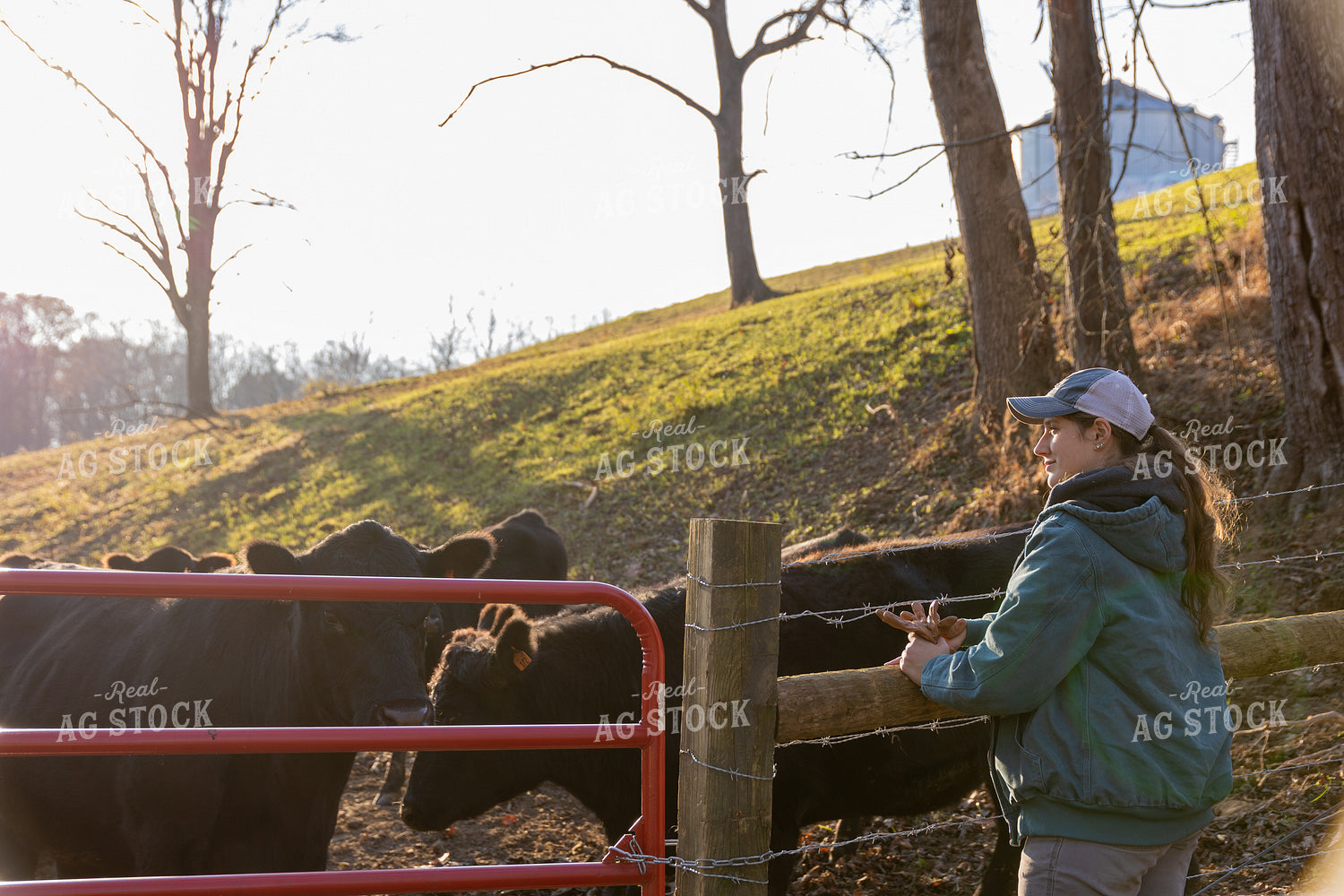 Putting Up Barbed Wire Fence 52277