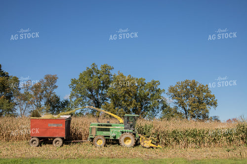 Cutting Corn Silage 142018