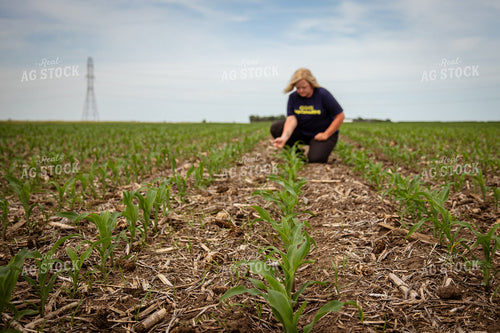 Female Agronomist Scouting Field 67761