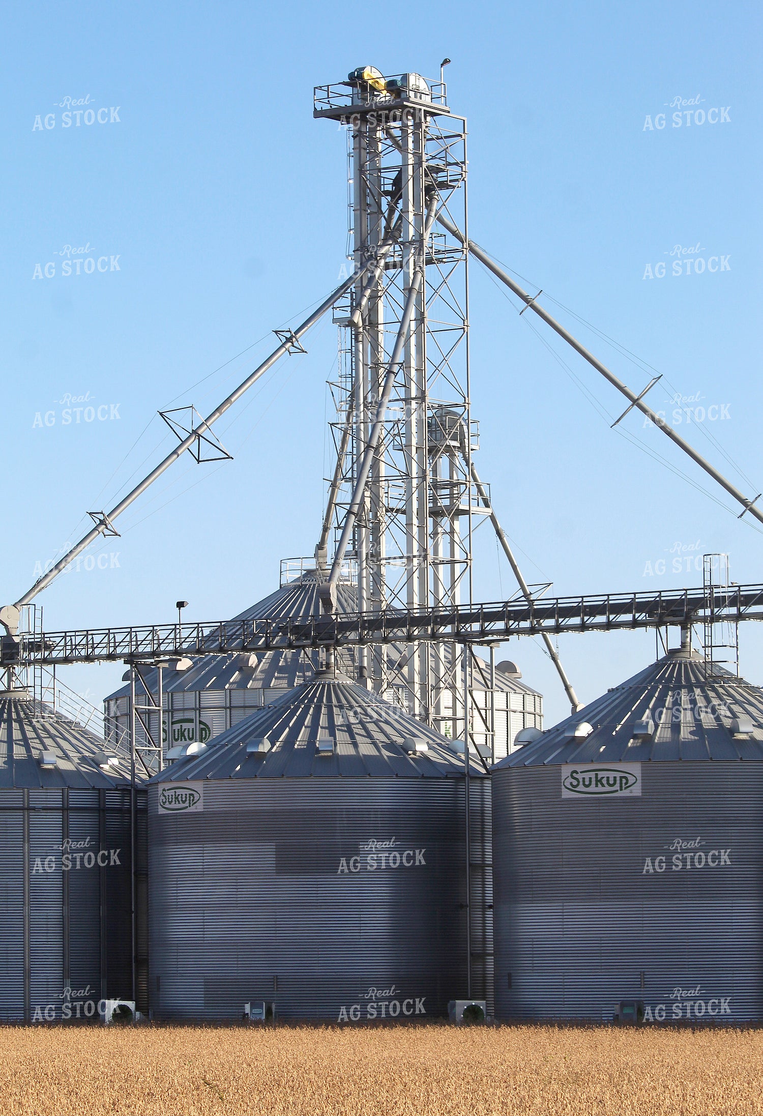 Grain Bins 141458