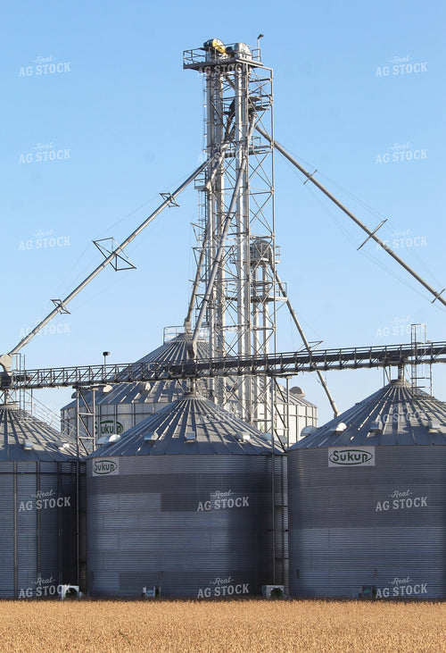 Grain Bins 141458