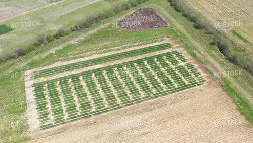 Aerial Crop Plot Video 79441