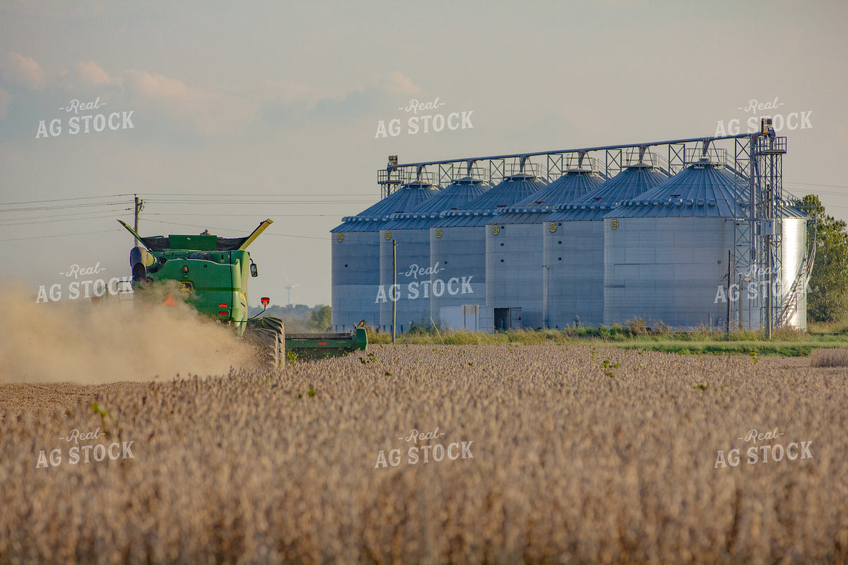 Soybean Harvest 291121