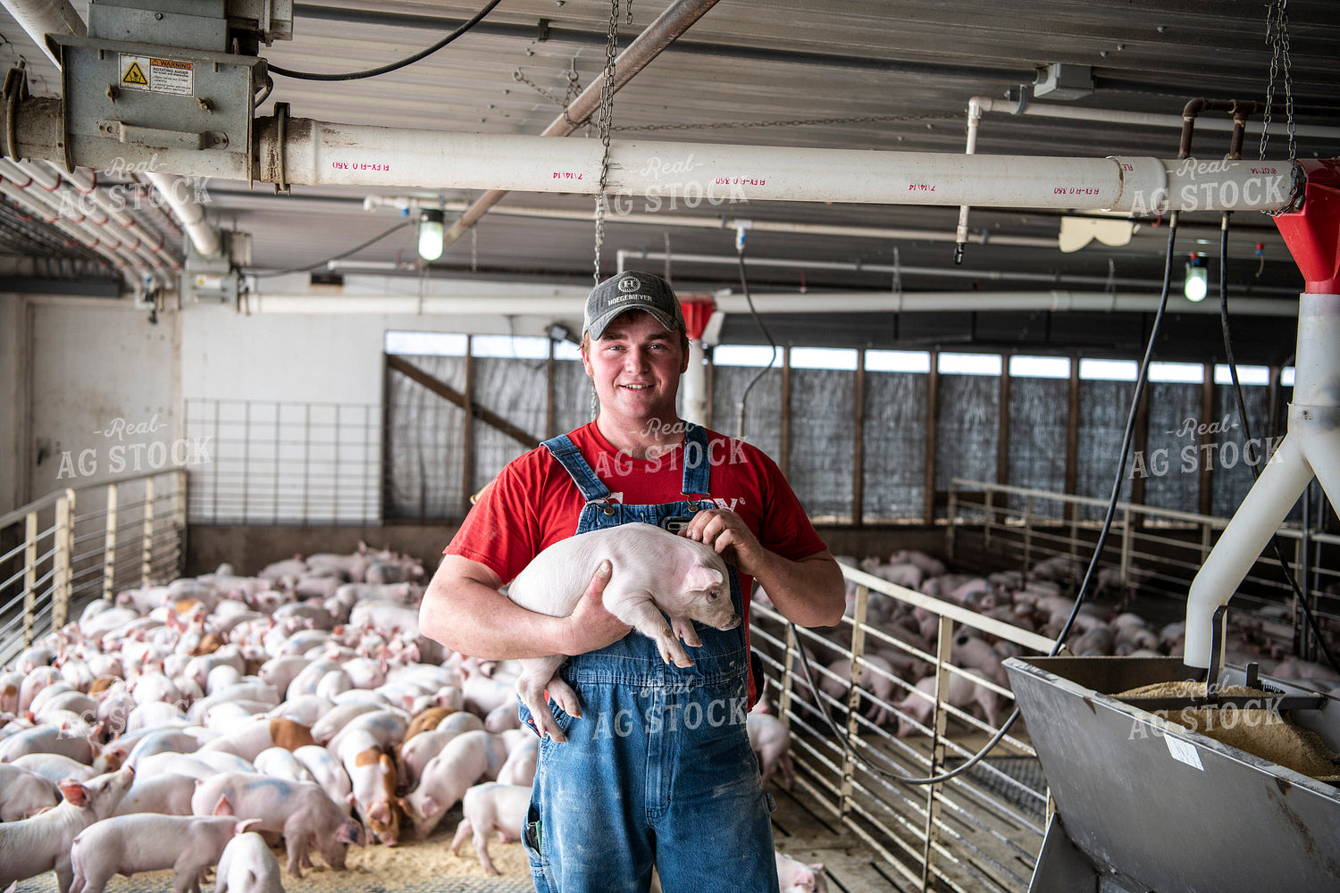 Farmer Holding Piglet 197010