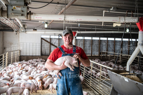 Farmer Holding Piglet 197010
