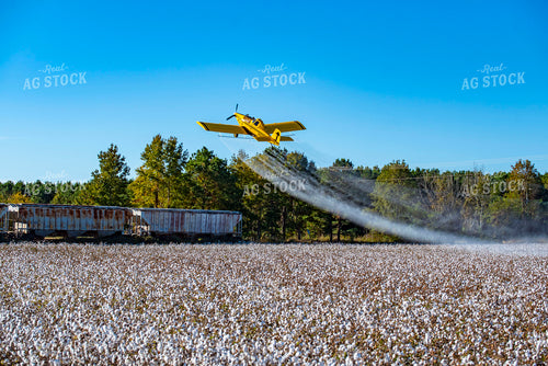 Crop Duster Spraying Cotton Field 136258
