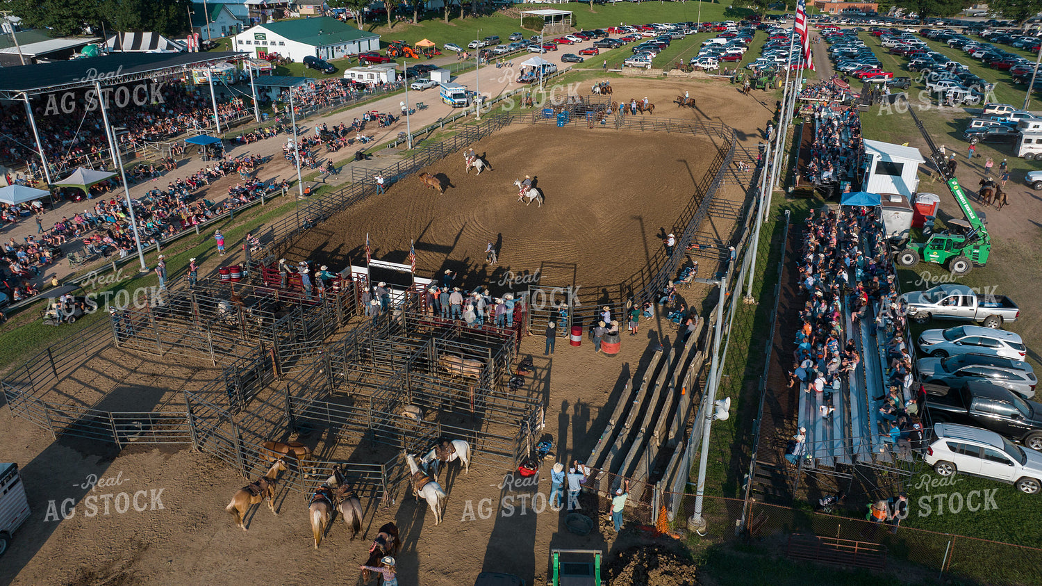 Rodeo 52862