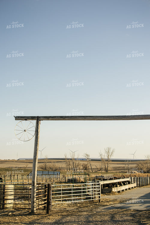 Feedlot Entrance 70111