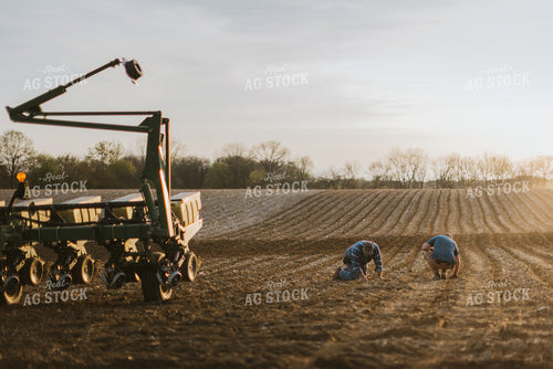 Farmers Checking Soil in Field 7447