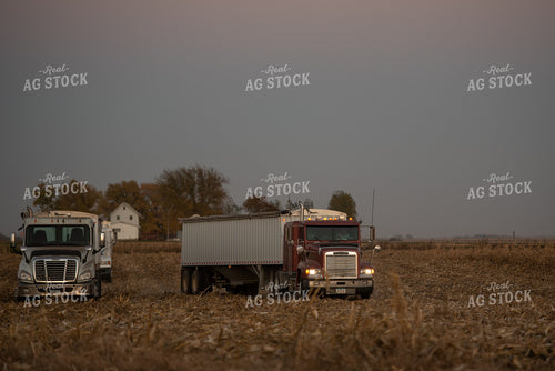 Semi Trucks in Field 274041