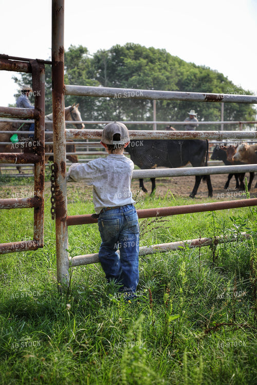 Ranch Kid Leaning on Fence 210014