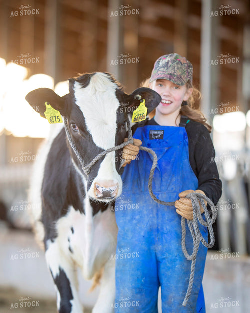 Farm Girl with Dairy Calf Heifer 55059