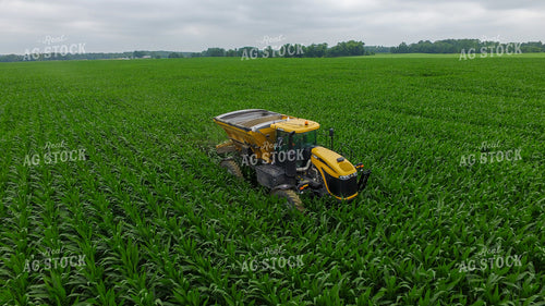 Dry Fertilizer Spreading on Tall Green Corn 85000