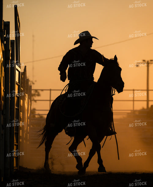 Rodeo 219132
