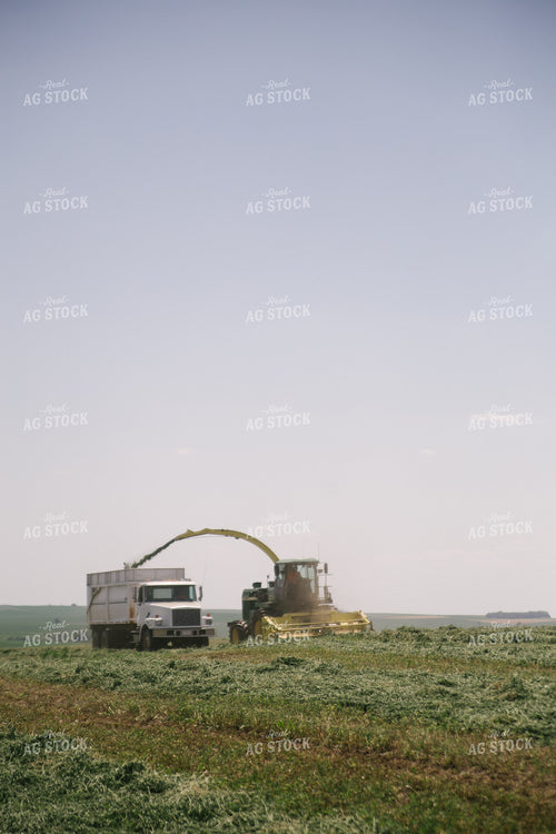 Harvesting Hay Silage 70059