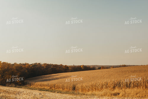Rural Harvest Scene 9489