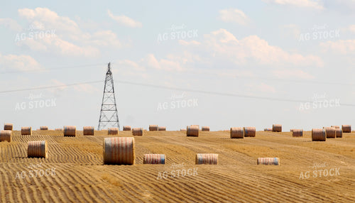 Hay Bales 141029