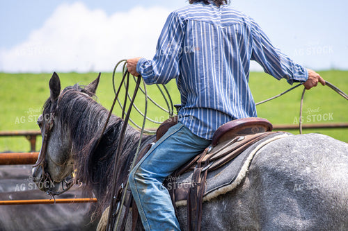 Rancher Roping Cattle 214194