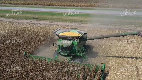 Corn Harvest 79513