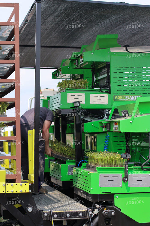 Loading Tomato Planter 109030