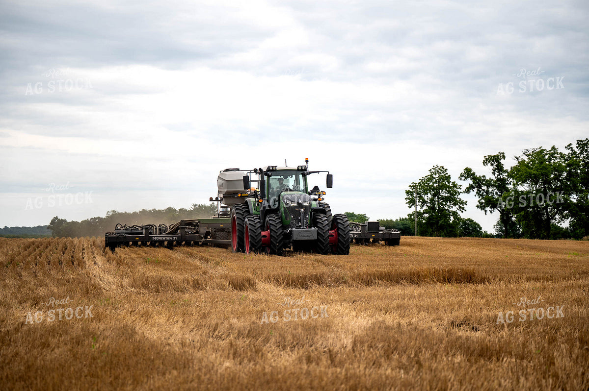 Planting 115959