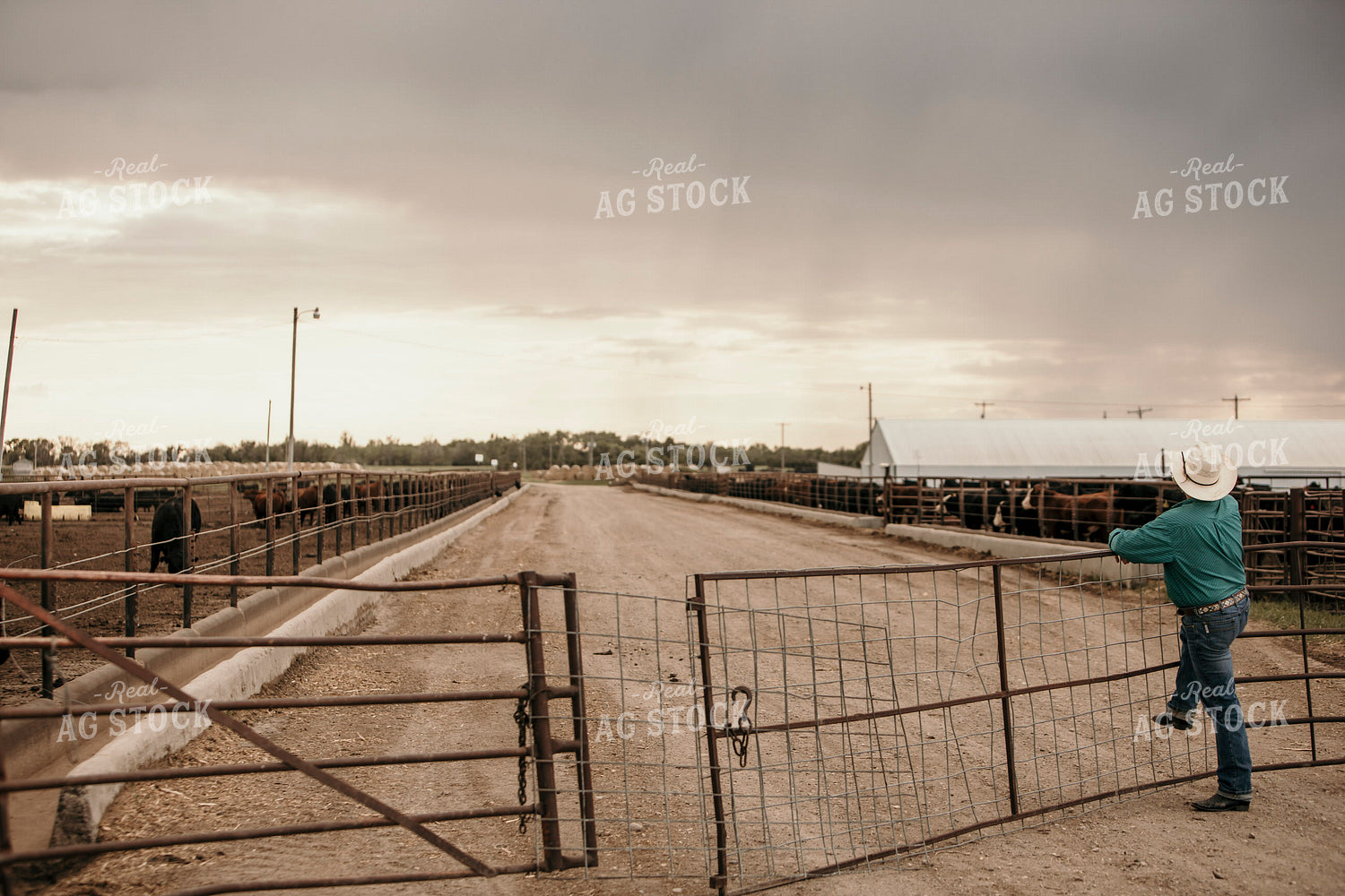 Feedyard 3075