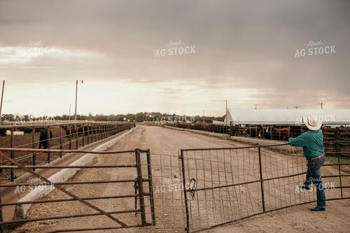 Feedyard 3075