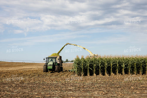 Chopping Corn Silage 296002