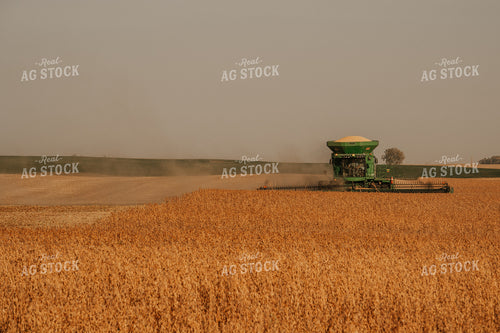 Soybean Harvest 185126