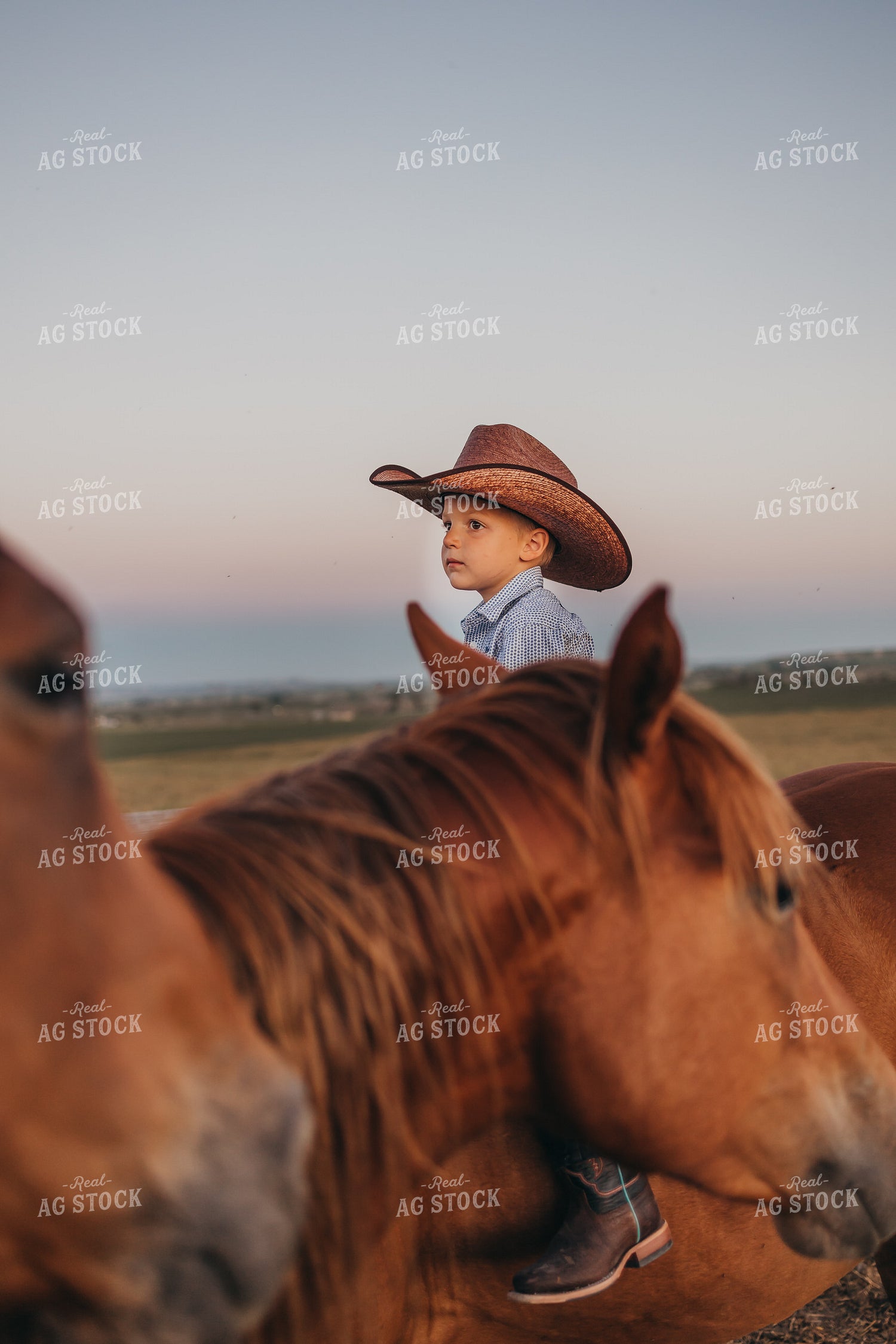 Ranch Kid with Horse 61137