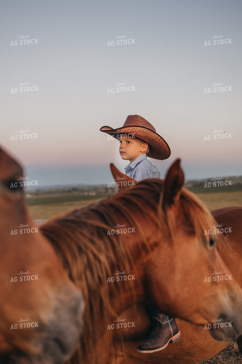 Ranch Kid with Horse 61137