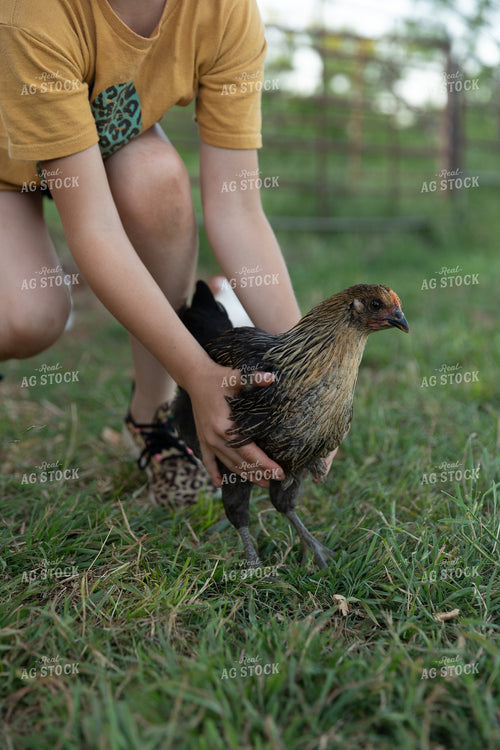 Farm Kid Holding Chicken 205051