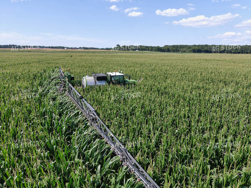 Sprayer in Corn Field 79112