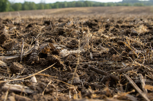 Freshly Tilled Spring Soil 52094