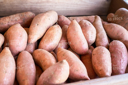 Sweet Potatoes 128126