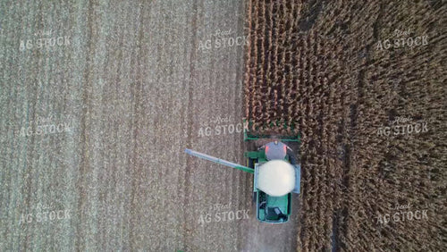 Corn Harvest 65134
